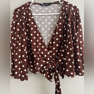 Zara Brown Polka Dot Blouse